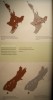 te_papa_les_terres_maories.jpg, déc. 2012 te_papa_les_terres_maories.jpg