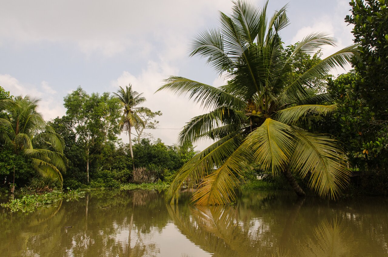 Photographies du Delta du Mekong au Vietnam