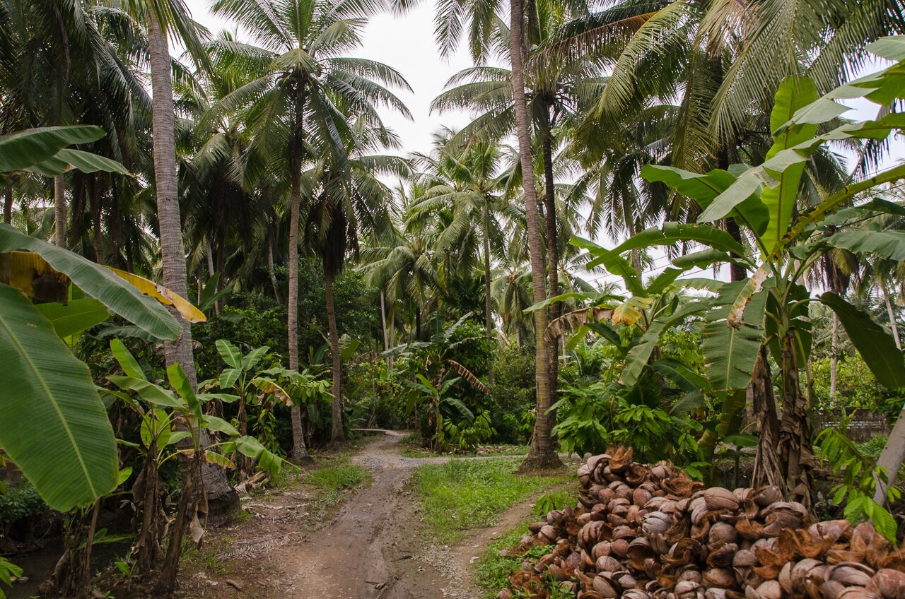 Photographies du Delta du Mekong au Vietnam