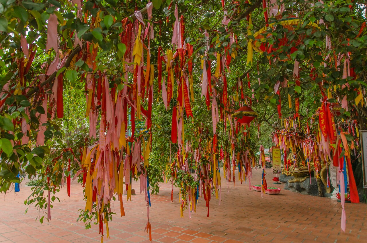 Photographies duc Suoi Tien Park au Vietnam